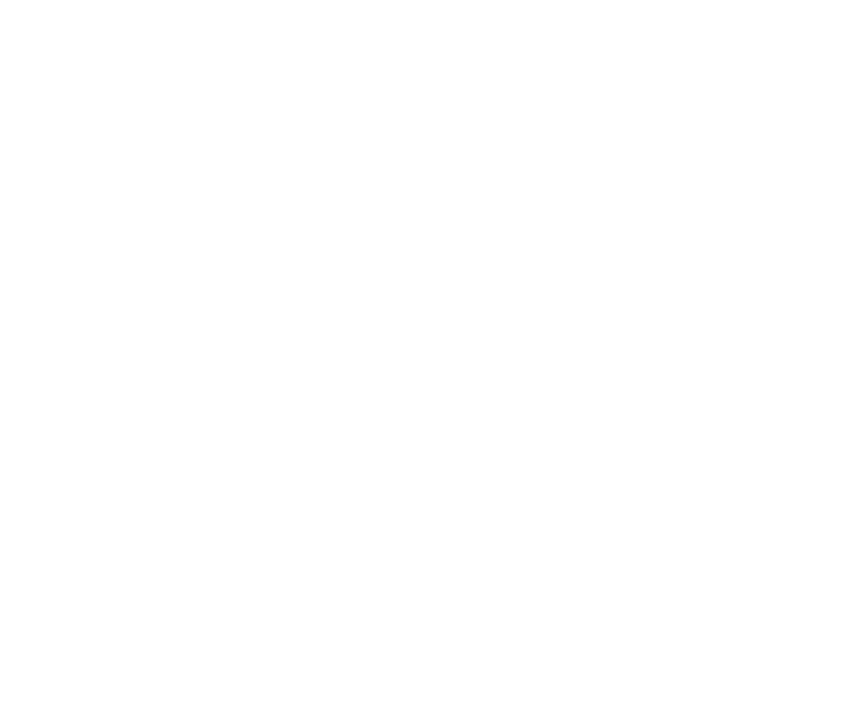 The Aspire Program